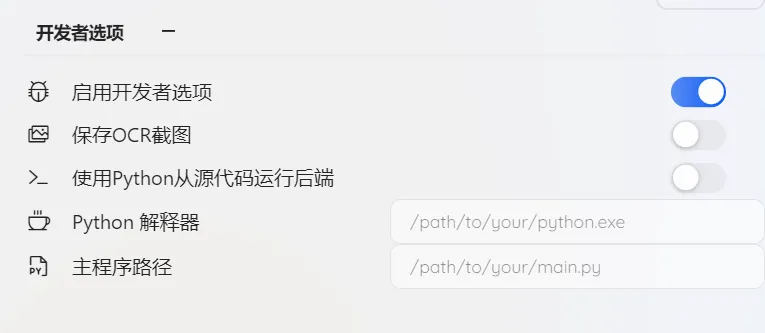 开发者选项